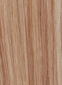 Sleek EZ Ponytail Human Hair - Slick Pony