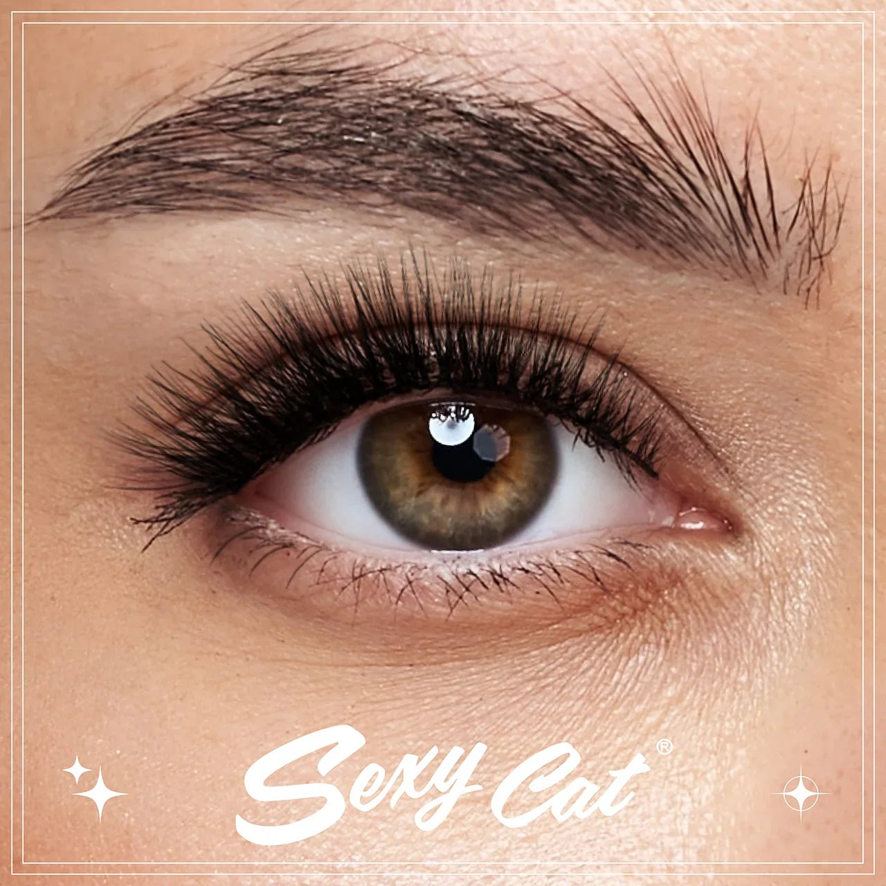 CATTITUDE 3D Lashes - Sexy Cat | CC Hair & Beauty UK
