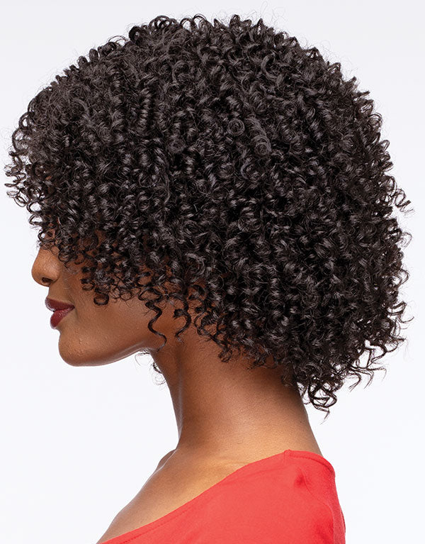 Janet Collection Wig Premium Synthetic Hair - Natural Afro Open