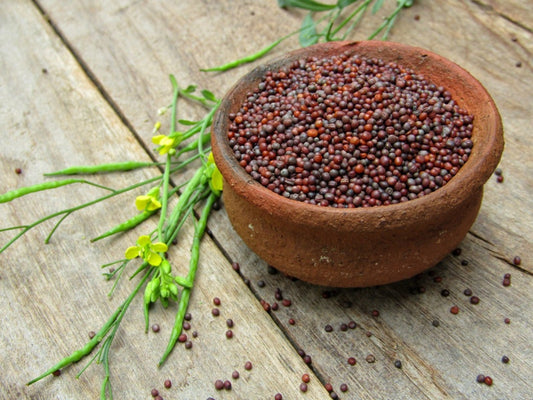 CC MUSTARD SEEDS