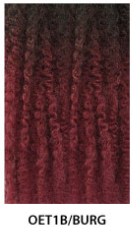 Janet Collection Nala Tress Passion Twist Crochet Braid 24"
